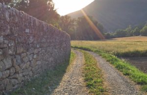 path forward into the light
